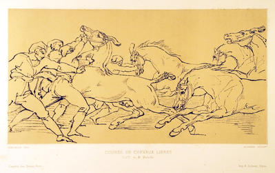 Course de Chevaux Libres