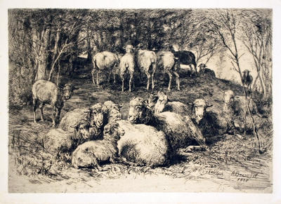 Troupeau de Moutons