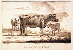 Willem Hendrik Franquient