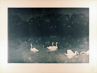 Cygnes