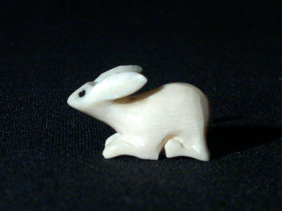 Rabbit