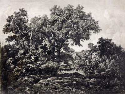 La Hutte, Forêt De Fontainebleau