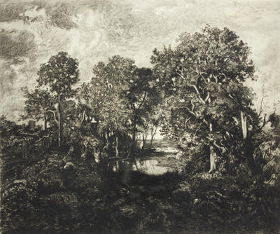 Une Mare - Forêt De Fontainebleau