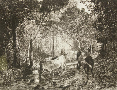 Vaches Sous Bois