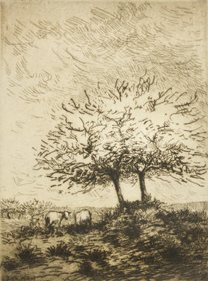 Paysage
