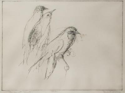 Birds at Rest