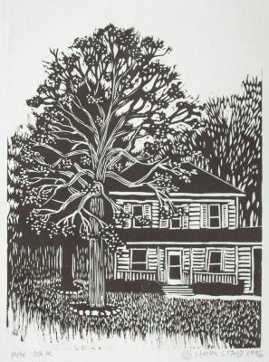 Pin Oak
