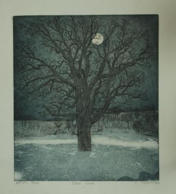 Silent Snow