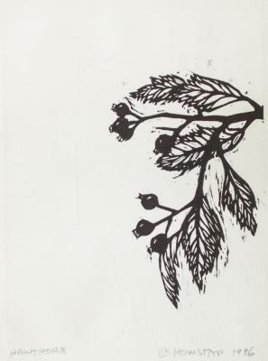 Hawthorne