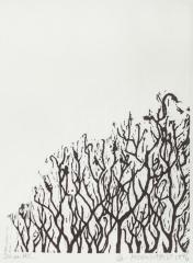 Sumac