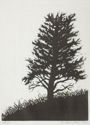 Yew