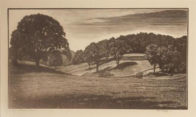 Country Scene