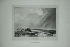 Heath Scene