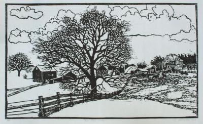 The Old Oak
