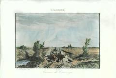 Souvenir De Camargue