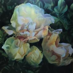 Laura Peterson