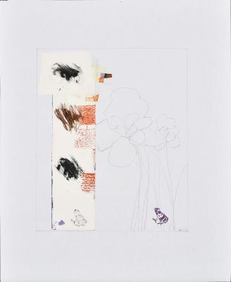 Zoo 20