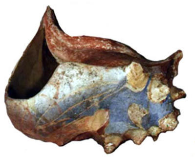 Sea Shell Sculpture