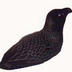 Murre